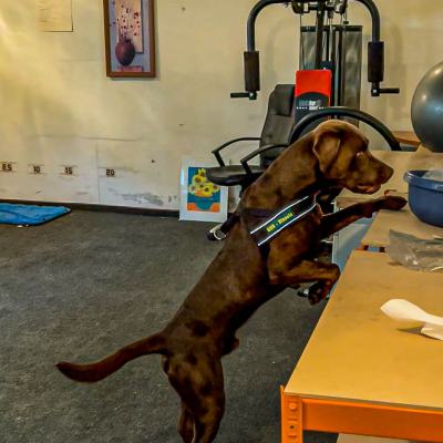 Geldsuche Im Keller2