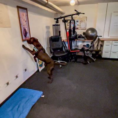 Geldsuche Im Keller3