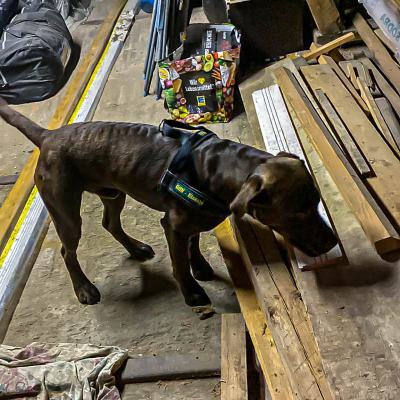 Geldsuche In Der Werkstatt2