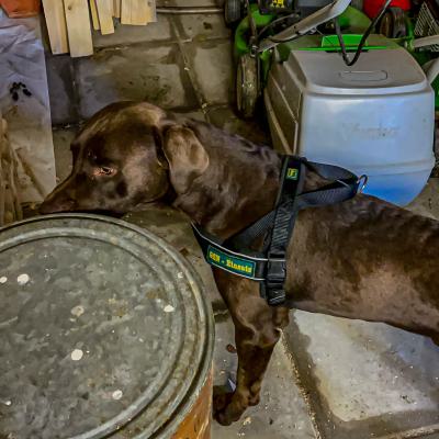 Geldsuche In Der Werkstatt4