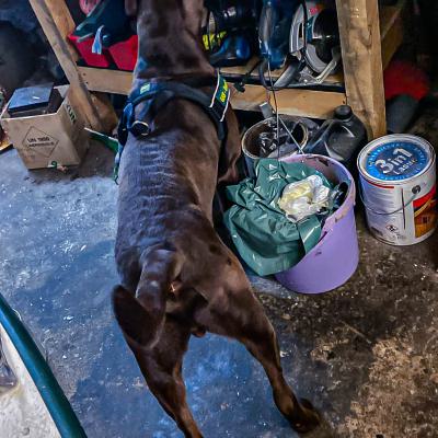 Geldsuche In Der Werkstatt