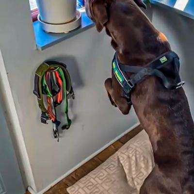 Geldsuche In Der Wohnung10