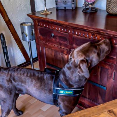 Geldsuche In Der Wohnung11