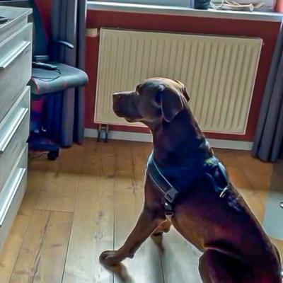 Geldsuche In Der Wohnung4