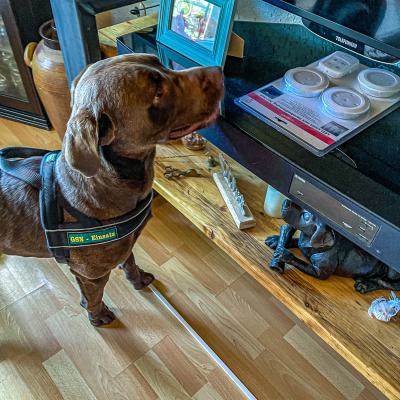 Geldsuche In Der Wohnung5