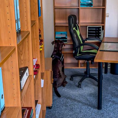 Geldsuche In Der Wohnung7