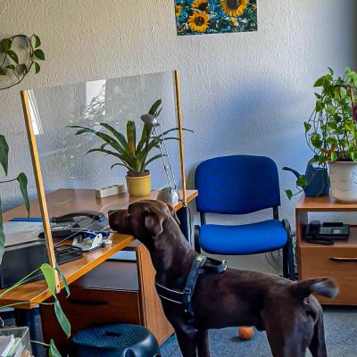 Geldsuche In Der Wohnung8